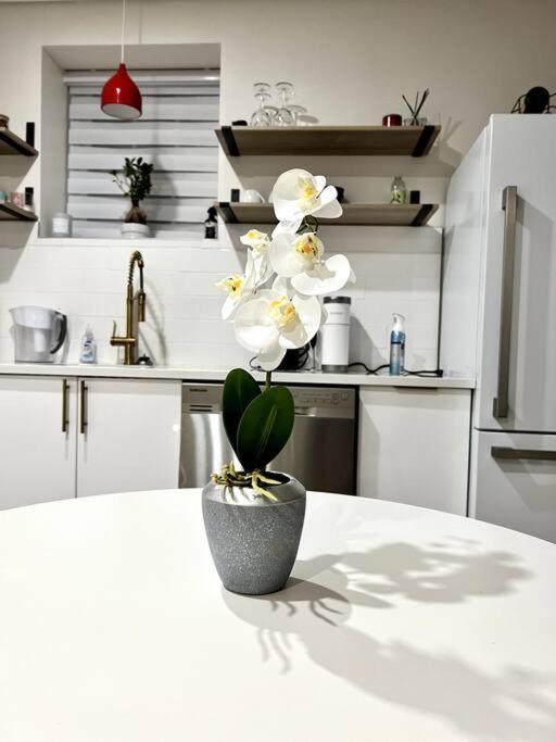 Luxury And Cozy 1 Bed Condo In The Heart Of פרובידנס מראה חיצוני תמונה
